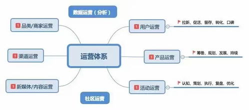 企业管理的进取与挑战